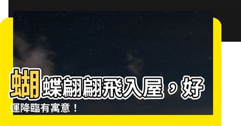 有蝴蝶飛入屋|蝴蝶入屋吉凶全面剖析